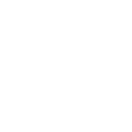 discord icon